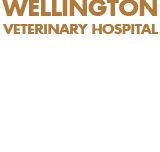 Wellington Veterinary Hospital - Vet Canberra