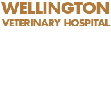 Book Wellington Accommodation Vacations Vet Canberra Vet Canberra