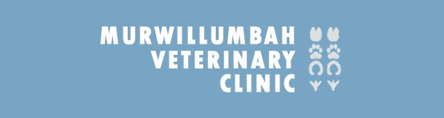 Tumbulgum NSW Vet Canberra