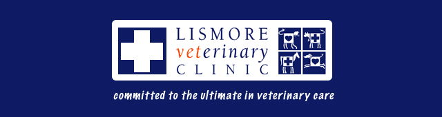 Tucki Tucki NSW Vet Canberra