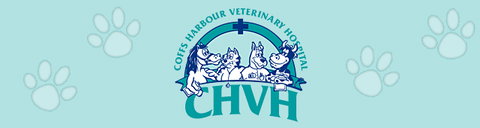 Coffs Harbour Vet Hospital - Vet Canberra 0