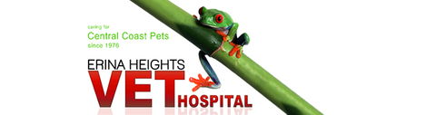 Erina Heights Veterinary Hospital - Vet Canberra 0