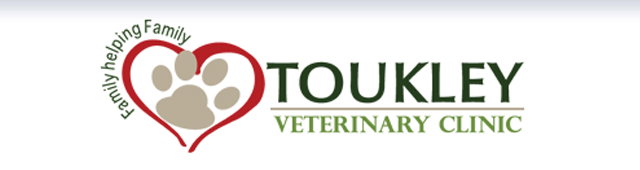 Canton Beach NSW Vet Canberra