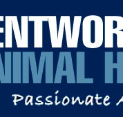 Wentworth Falls Animal Hospital - Vet Canberra