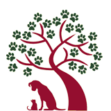 Selwood House Veterinary Hospital - Vet Canberra