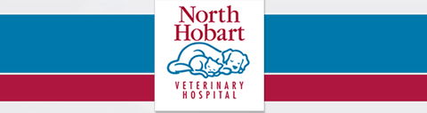 North Hobart Veterinary Hospital - Vet Canberra 0