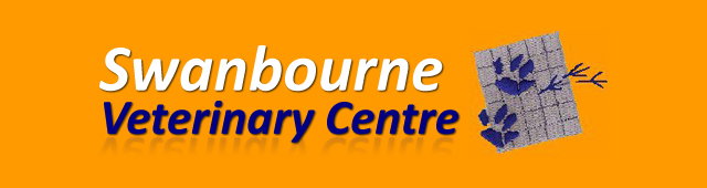 Swanbourne WA Vet Canberra