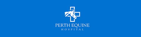 Perth Equine Hospital - Vet Canberra 0