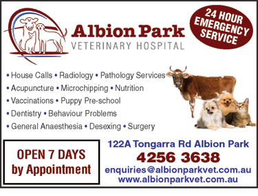 Albion Park Veterinary Hospital - Vet Canberra 6