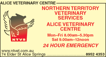 Alice Veterinary Centre - Vet Canberra 1