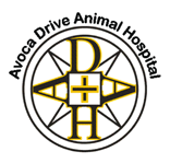 Avoca Drive Animal Hospital - Vet Canberra