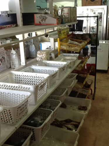 Bazza's Pet Shack - Vet Canberra 4