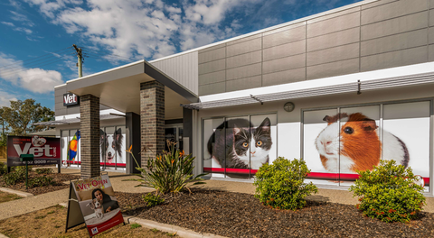Bundaberg South Vet Clinic - Vet Canberra 3