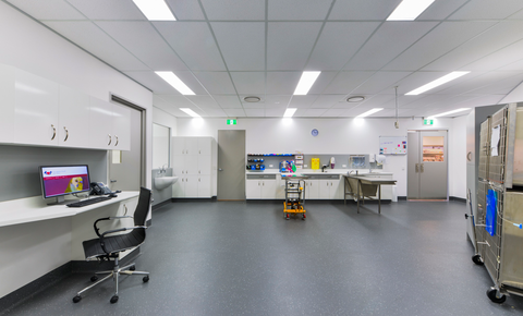 Bundaberg South Vet Clinic - Vet Canberra 7