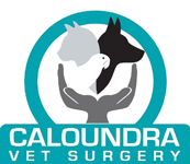 Caloundra QLD Vet Canberra