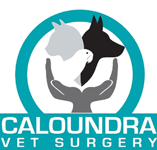 Caloundra Vet - Vet Canberra
