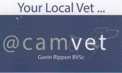 Lakewood NSW Vet Canberra