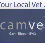 Camvet - Vet Canberra