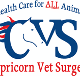 Capricorn Vet Surgery - Vet Canberra