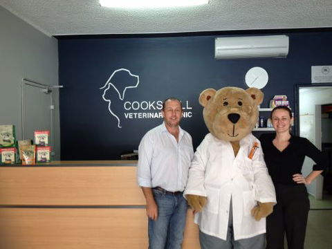 Cooks Hill Veterinary Clinic - Vet Canberra 1