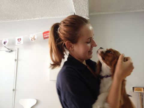 Cooks Hill Veterinary Clinic - Vet Canberra 5