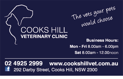 Cooks Hill Veterinary Clinic - Vet Canberra 6