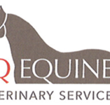 CQ Equine Veterinary Service - Vet Canberra