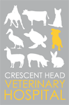 Crescent Head Veterinary Hospital - Vet Canberra 0