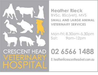 Crescent Head Veterinary Hospital - Vet Canberra 1