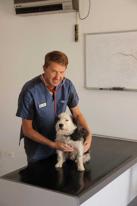 Desert Oaks Veterinary Clinic Pty Ltd - Vet Canberra 4