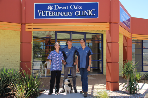 Desert Oaks Veterinary Clinic Pty Ltd - Vet Canberra 5