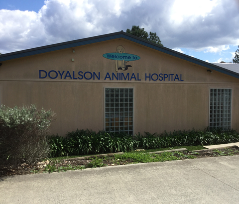 Doyalson Animal Hospital - Vet Canberra 1
