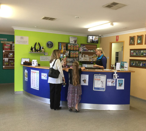 Doyalson Animal Hospital - Vet Canberra 2