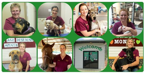 Girraween Veterinary Hospital - Vet Canberra 3