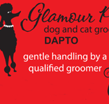 Glamour Pets - Vet Canberra