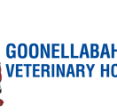 Goonellabah Veterinary Hospital - Vet Canberra