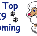 Hill Top K9 Grooming - Vet Canberra