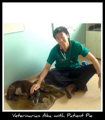 Howard Springs Veterinary Clinic - Vet Canberra 2