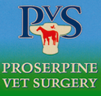 Jason Mansfield - Vet Canberra