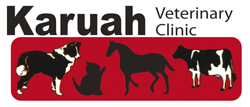 Karuah Veterinary Clinic - Vet Canberra 0