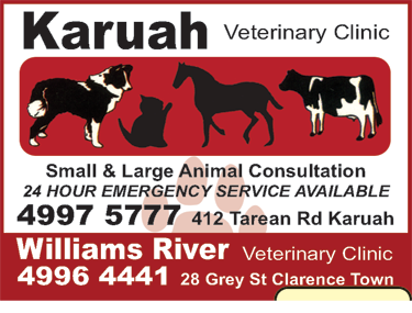 Karuah Veterinary Clinic - Vet Canberra 4