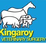 Kingaroy Veterinary Surgery - Vet Canberra