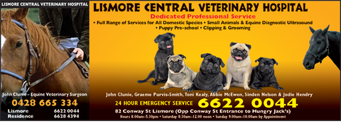 Lismore Central Veterinary Hospital - Vet Canberra 3