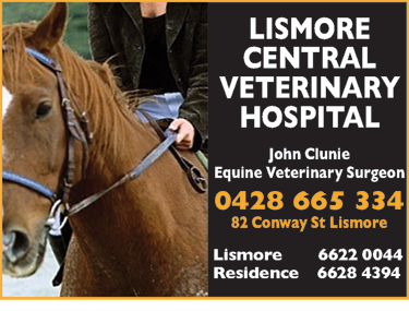 Lismore Central Veterinary Hospital - Vet Canberra 4