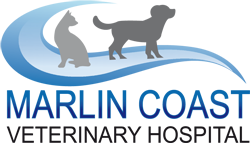 Marlin Coast Veterinary Hospital - Vet Canberra 0