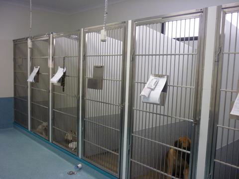 Marlin Coast Veterinary Hospital - Vet Canberra 4