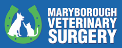  Vet Canberra