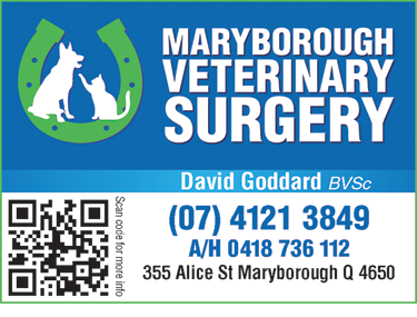 Maryborough Veterinary Surgery - Vet Canberra 2