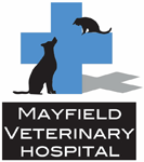 Mayfield Veterinary Hospital - Vet Canberra 0