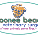 Moonee Beach Veterinary Surgery - Vet Canberra